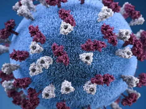 Viruela del Mono en México: ¿Cuántos casos hay activos en México en agosto 2022?