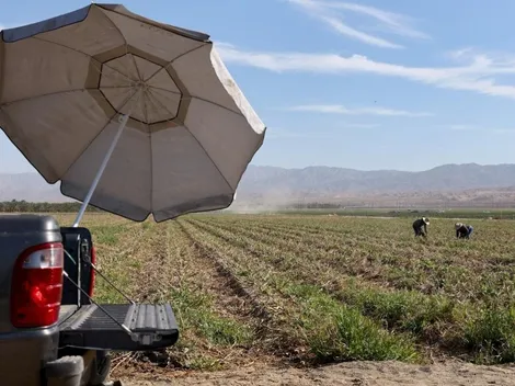 Canícula en México: ¿Cuándo empieza y qué estados llegarán arriba de los 50° C?