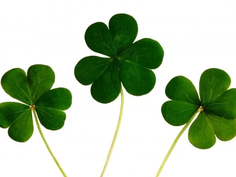 Astrología: Los signos del zodíaco con más suerte