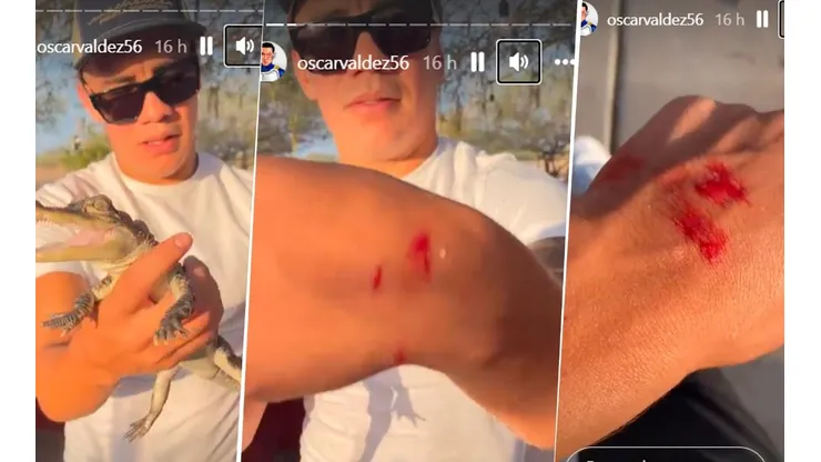 Oscar Valdez fue mordido por uno de sus reptiles