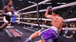 Enorme victoria de Davis ante Rolly Romero.