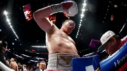 Canelo Álvarez ya eligió entre Golovkin o Bivol ¡y hay fecha para la pelea!