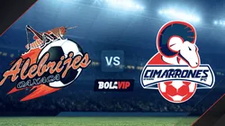 Alebrijes de Oaxaca vs. Cimarrones de Sonora por la Liga de Expansión MX.