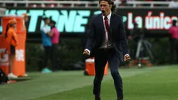GUADALAJARA, MEXICO - OCTUBRE 29: Matias Almeyda, Director Tecnico del Chivas en festejo durante el juego de la jornada 15 del torneo Apertura 2016 de la Liga Bancomer MX en el estadio Chivas el 29 de octubre de 2016 en Guadalajara, Mexico. (Foto: Alfredo Moya/JAM MEDIA)
