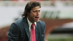 ¿Puede Matías Almeyda regresar a Chivas?