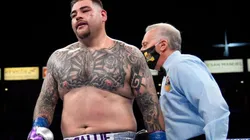 Andy Ruiz enfrentará a Luis Ortiz.