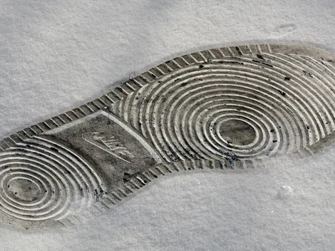 Sueldos en México: Cuánto gana un criminólogo en México