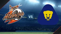 Alebrijes vs. Pumas Tabasco por la Liga de Expansión.