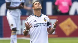 Chicharito vuelve a anotar.