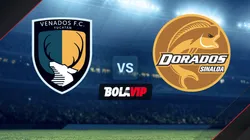 STREAMING GRATIS AQUÍ: Venados FC vs. Dorados de Sinaloa por la Liga Expansión MX
