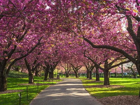 Las mejores frases para la primavera que llegó a México