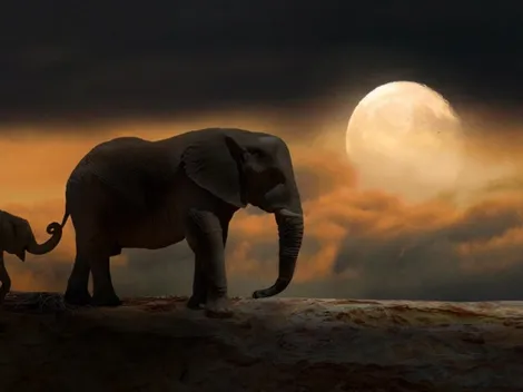 Horóscopo: ¿Cómo influye la Luna Nueva en Piscis a tu signo?