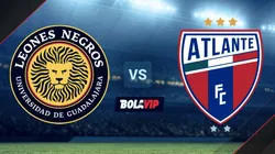 Leones Negros vs. Atlante por la Liga de Expansión MX.