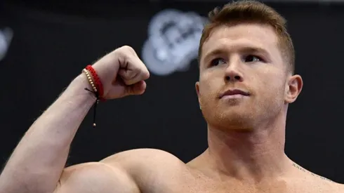 ¿En qué peso pelea Canelo?