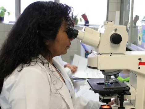 ¿Qué pasó el 11 de febrero?