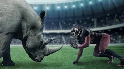 Guía básica de futbol americano