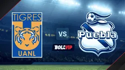 Tigres UANL vs. Puebla por la Liga MX Femenil.