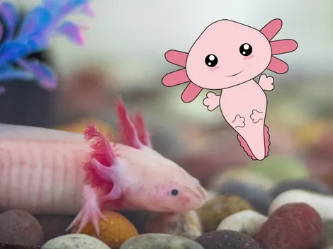 ¿Qué pasó un día como hoy 1 de febrero?