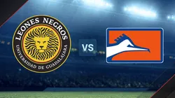 Leones Negros vs. Correcaminos por la Liga de Expansión.