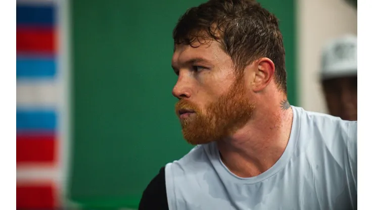 Un excampeón mundial dijo qué peleas debería tomar Canelo Álvarez en 2022