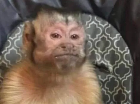 Los mejores memes del 2021