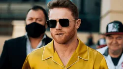 Canelo Álvarez se dio un excéntrico nuevo gusto: Un gato que no podríamos pagar