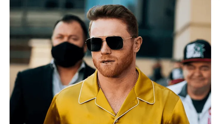 Canelo Álvarez se dio un excéntrico nuevo gusto: Un gato que no podríamos pagar