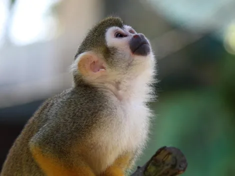 14 de diciembre: ¿Qué pasó un día como hoy?