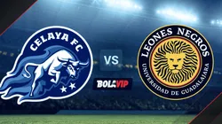Celaya vs. Leones Negros por la Liga BBVA Expansión MX.