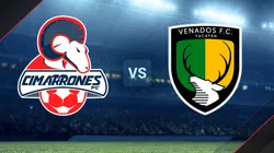 Cimarrones de Sonora vs. Venados por la Liga de Expansión.
