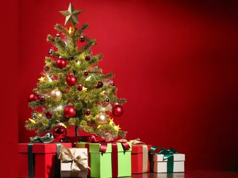 ¿Cuándo se debe poner el árbol de Navidad?