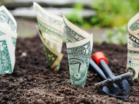 Precio del Dólar HOY en México, miércoles 17 de noviembre de 2021| Dólares a Pesos