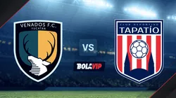 Venados de Yucatán vs. Deportivo Tapatío por la Liga BBVA Expansión MX.