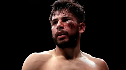 Peleón de la Pantera Rodríguez.