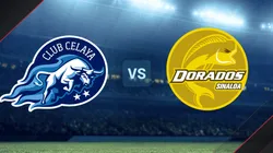 Celaya y Dorados se enfrentan por la Liga de Expansión.