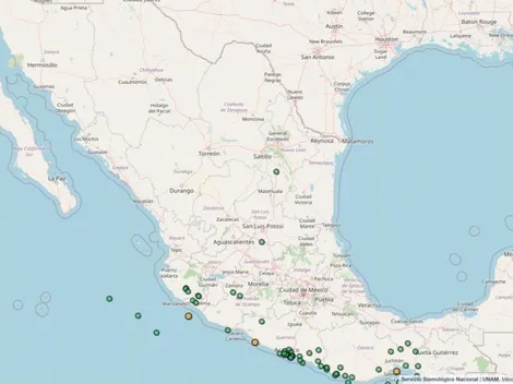 Temblor en México: Conoce la actividad sísmica más reciente reportada en el país este 30 de octubre