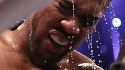 Según Bradley, Andy Ruiz le provocó miedo a Joshua.