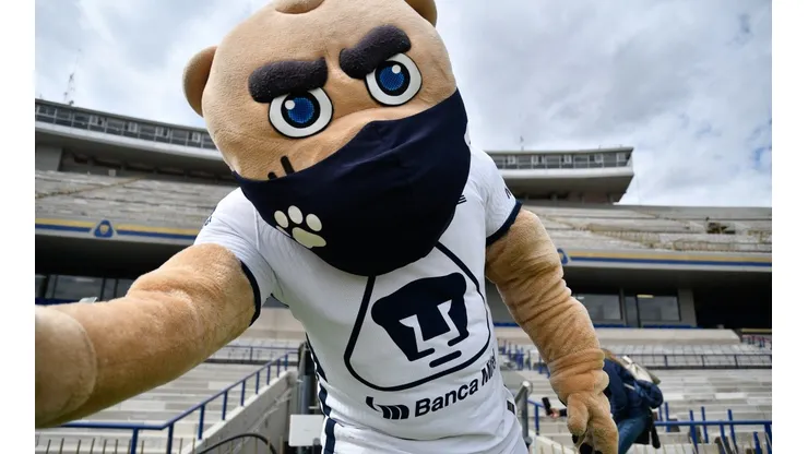 Goyo la mascota de los Pumas, fue parte de la Carrera de Botargas
