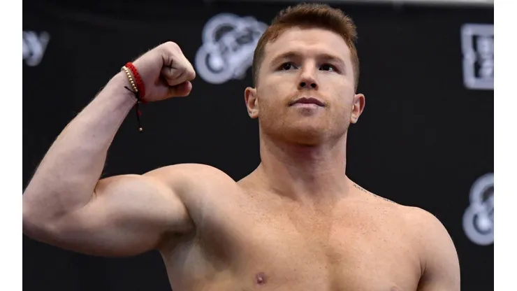 Canelo Álvarez destruyó a Andrea Ward.