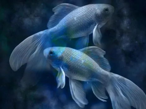 Horóscopo de hoy: Predicciones de los signos del zodiaco del martes 7 de septiembre