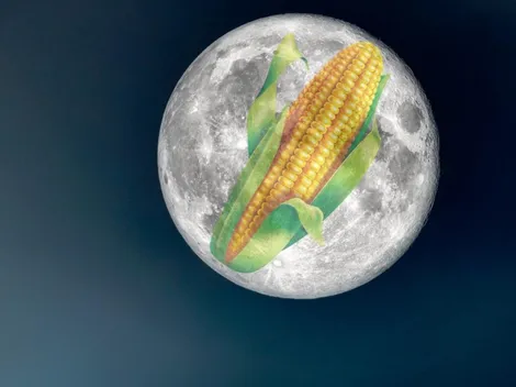 ¿Cómo afecta la Luna Llena de Maíz a los signos del zodiaco?