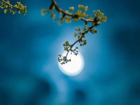 Fenómenos astronómicos de septiembre: Luna de Maíz y lluvia de estrellas