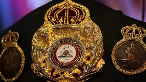 La AMB dejó sin efecto los Títulos Mundiales Interinos.