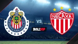 Qué canal transmite Chivas vs. Necaxa EN VIVO por la Liga MX Femenil | Horario y TV |