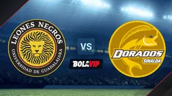 Leones Negros y Dorados de Sinaloa se enfrentan por la Liga de Expansión MX