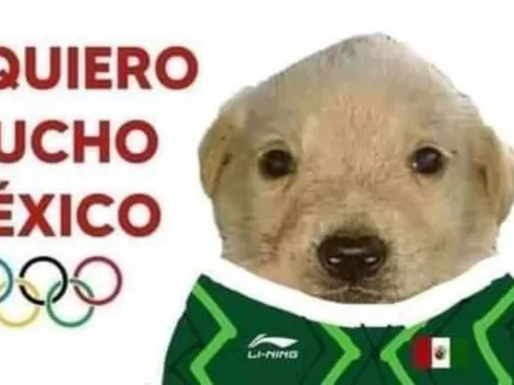 "Los queremos mucho": Mejores memes del perrito que apoya a los atletas olímpicos