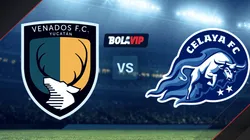 Venados de Yucatán vs. Celaya por la Liga BBVA Expansión MX.