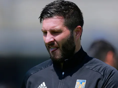 Todo mal: afición de Tigres destroza a Andrés Vaca por burlarse de Gignac