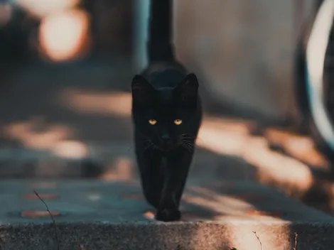 Viernes 13: ¿Qué diferencia hay con martes 13? ¿Son fechas de mala suerte?