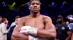 Anthony Joshua destrozó a Deontay Wilder antes que pelee con Fury
